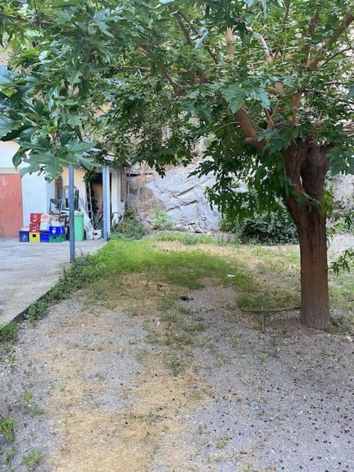 Appt 4 Pers Avec Jardin Ombrage En Centre Ville De Sète מראה חיצוני תמונה